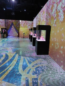 マクセル アクアパーク品川に投稿された画像（2024/4/7）