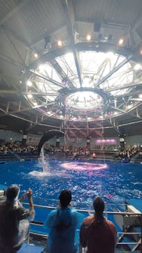 マクセル アクアパーク品川に投稿された画像（2024/4/7）