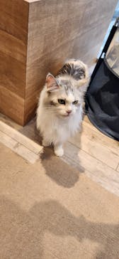 カワスイ 川崎⽔族館に投稿された画像（2024/4/7）