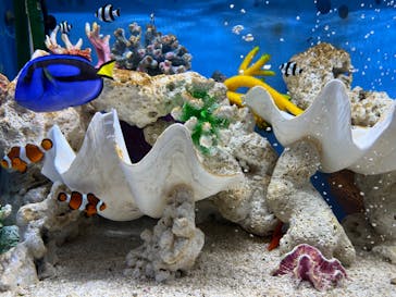 NARA IKIMONO MUSEUMに投稿された画像（2024/4/7）