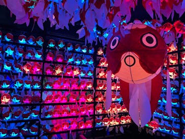 NARA IKIMONO MUSEUMに投稿された画像（2024/4/7）