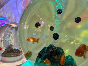 NARA IKIMONO MUSEUMに投稿された画像（2024/4/7）