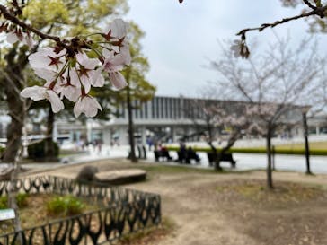 広島平和記念資料館に投稿された画像（2024/4/7）