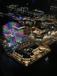 横浜ランドマークタワー 69階展望フロア スカイガーデンに投稿された画像（2024/4/8）