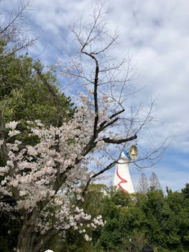 万博記念公園に投稿された画像（2024/4/7）