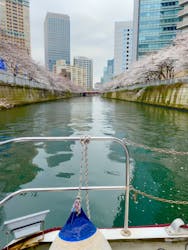 東京ウォータウェイズに投稿された画像（2024/4/7）
