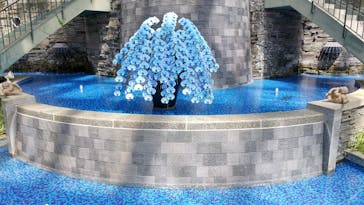 浜名湖花博2024に投稿された画像（2024/4/7）