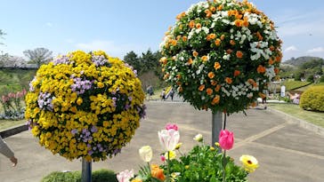 浜名湖花博2024に投稿された画像（2024/4/7）