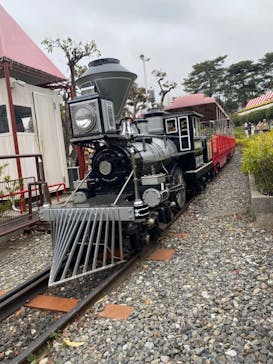 西武園ゆうえんちに投稿された画像（2024/4/7）