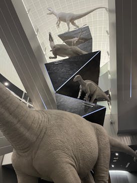 福井県立恐竜博物館に投稿された画像（2024/4/7）