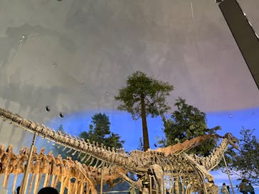 福井県立恐竜博物館に投稿された画像（2024/4/7）