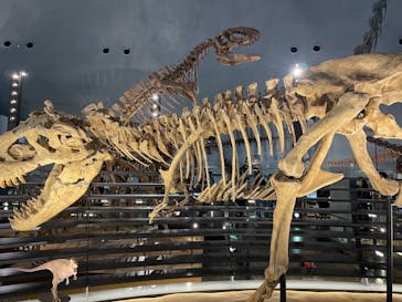 福井県立恐竜博物館に投稿された画像（2024/4/7）