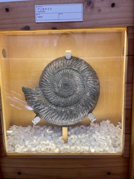 福井県立恐竜博物館に投稿された画像（2024/4/7）