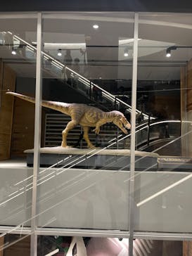 福井県立恐竜博物館に投稿された画像（2024/4/7）