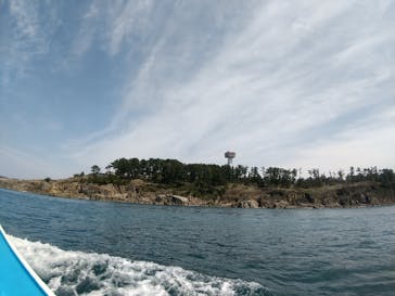 東尋坊観光遊覧船株式会社に投稿された画像（2024/4/7）