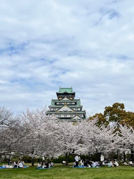 大阪城公園 西の丸庭園に投稿された画像（2024/4/7）