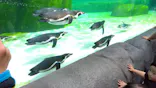 天王寺動物園に投稿された画像（2024/4/7）