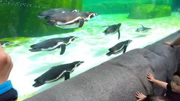 天王寺動物園に投稿された画像（2024/4/7）