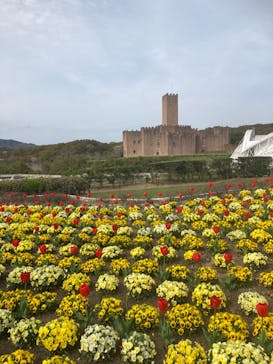 志摩スペイン村パルケエスパーニャに投稿された画像（2024/4/7）