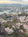ひらかたパークに投稿された画像（2024/4/8）