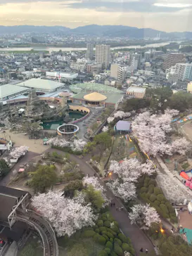 ひらかたパークに投稿された画像（2024/4/7）