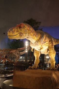 福井県立恐竜博物館に投稿された画像（2024/4/7）