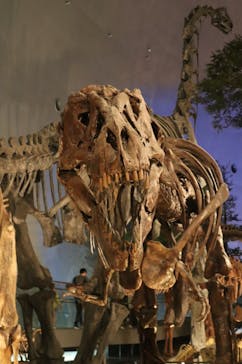 福井県立恐竜博物館に投稿された画像（2024/4/7）