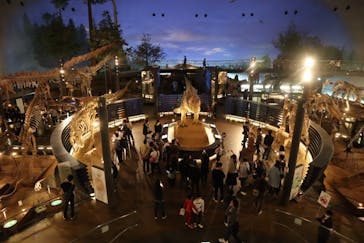 福井県立恐竜博物館に投稿された画像（2024/4/7）