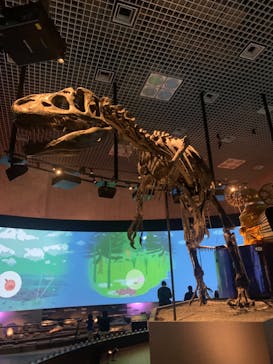 国立科学博物館に投稿された画像（2024/4/8）