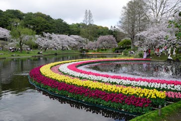 浜名湖花博2024に投稿された画像（2024/4/8）