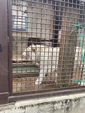 宇都宮動物園に投稿された画像（2024/4/8）