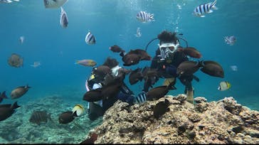 沖縄マリンサービス碧に投稿された画像（2024/4/8）