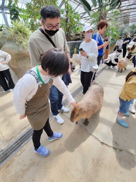 神戸どうぶつ王国に投稿された画像（2024/4/8）
