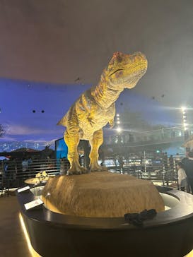 福井県立恐竜博物館に投稿された画像（2024/4/8）