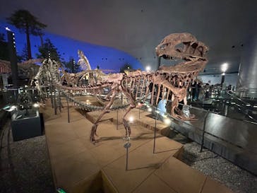 福井県立恐竜博物館に投稿された画像（2024/4/8）