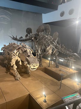 福井県立恐竜博物館に投稿された画像（2024/4/8）