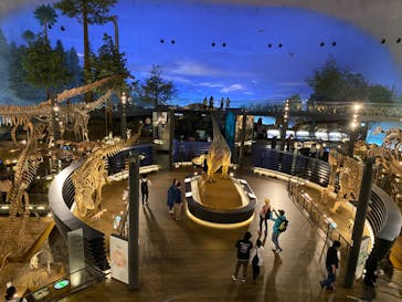 福井県立恐竜博物館に投稿された画像（2024/4/8）