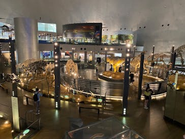 福井県立恐竜博物館に投稿された画像（2024/4/8）