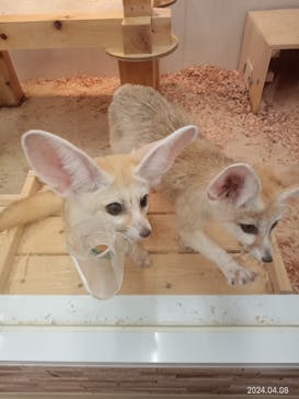 アニタッチ MARK IS 静岡に投稿された画像（2024/4/8）