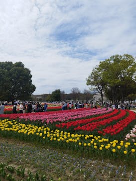 万博記念公園に投稿された画像（2024/4/8）