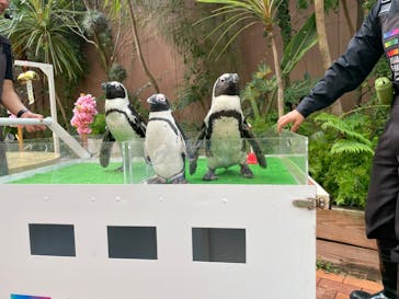 マクセル アクアパーク品川に投稿された画像（2024/4/8）