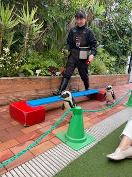 マクセル アクアパーク品川に投稿された画像（2024/4/8）