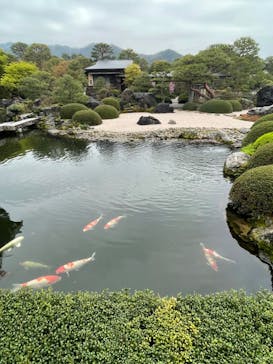 足立美術館に投稿された画像（2024/4/8）