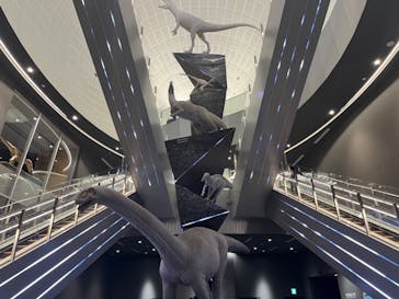 福井県立恐竜博物館に投稿された画像（2024/4/8）