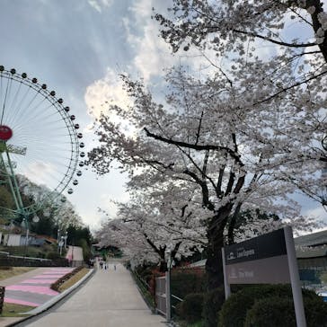 東京サマーランドに投稿された画像（2024/4/8）