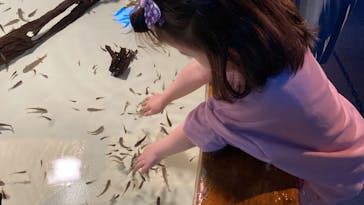 しながわ水族館に投稿された画像（2024/4/8）