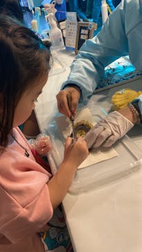 しながわ水族館に投稿された画像（2024/4/8）