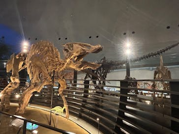 福井県立恐竜博物館に投稿された画像（2024/4/8）