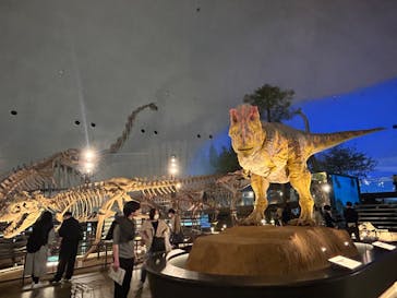福井県立恐竜博物館に投稿された画像（2024/4/8）