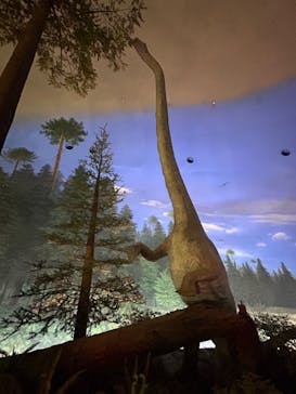 福井県立恐竜博物館に投稿された画像（2024/4/8）